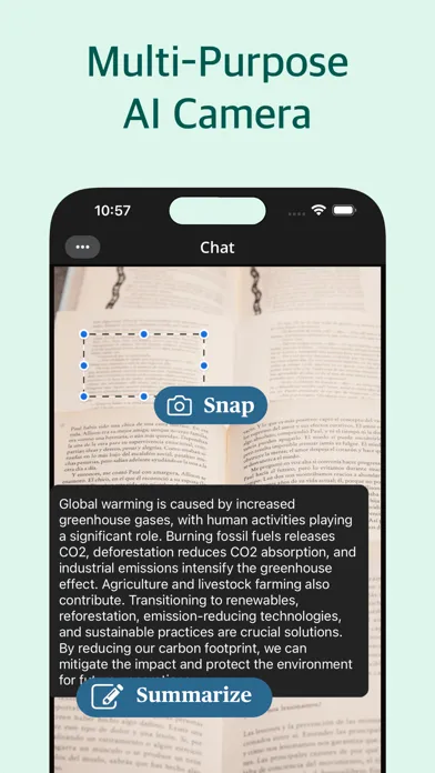 Conversational AI: Ask Chatbot Screenshots