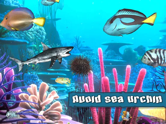 King Of The Fish Tank iPad  Screenshots