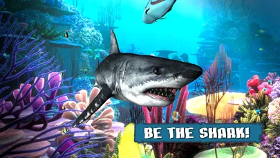 King Of The Fish Tank Screenshots