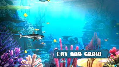 King Of The Fish Tank Screenshots