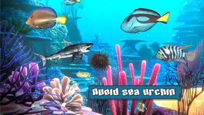 King Of The Fish Tank Screenshots