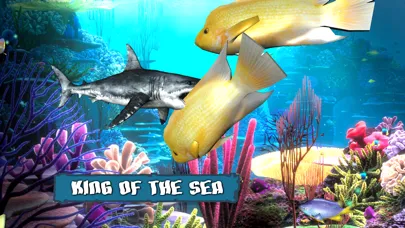 King Of The Fish Tank Screenshots