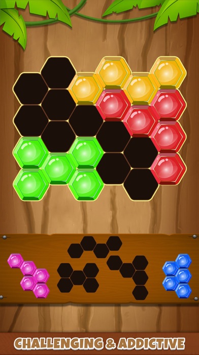 Hexa puzzle : Block blast Screenshots
