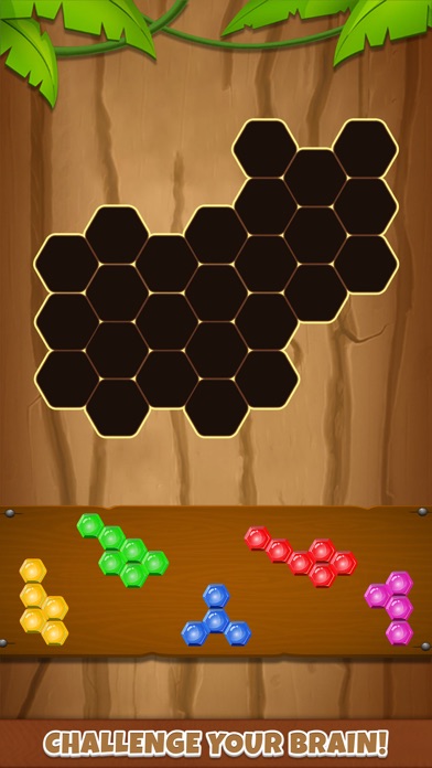 Hexa puzzle : Block blast Screenshots