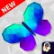 Poly Island Art-Tangram Puzzle