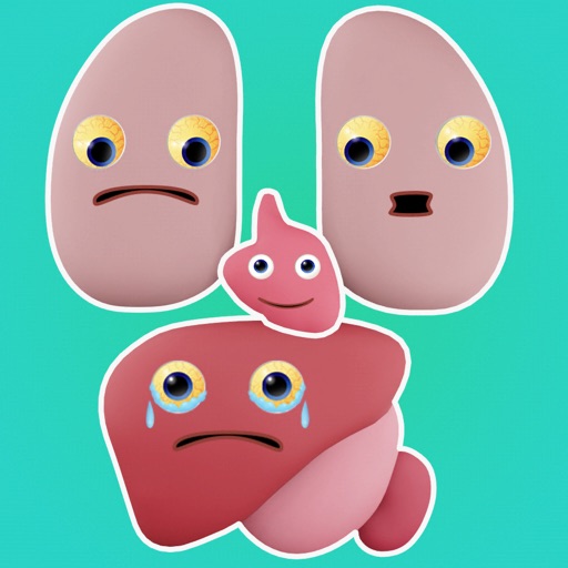 Fix Your Body Fix Your Body
