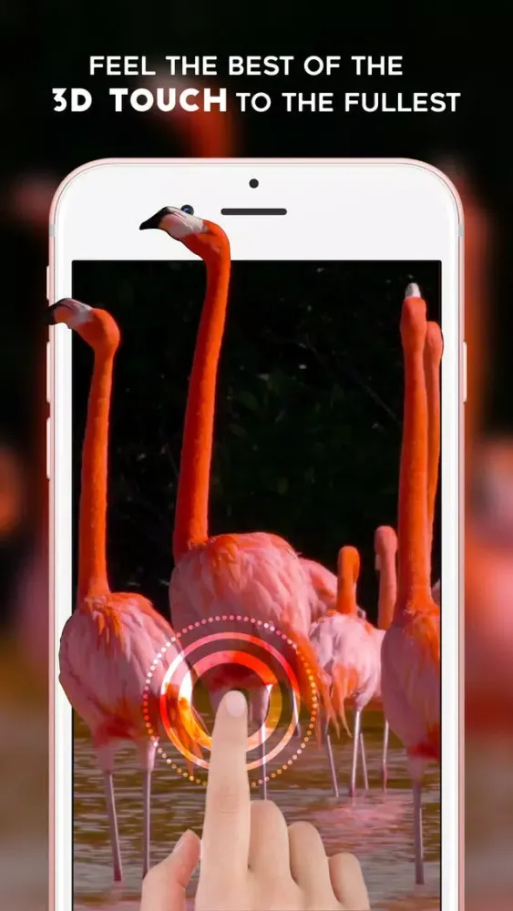صور Live Wallpapers Pro - Animated Themes & Backgrounds for iPhone 6S , 6S plus & iPhone SE