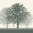 MyGardener Gardening Assistant