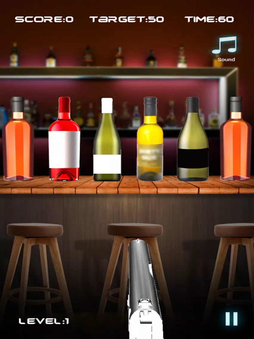 Bottle Shooting Game iPad 应用截图