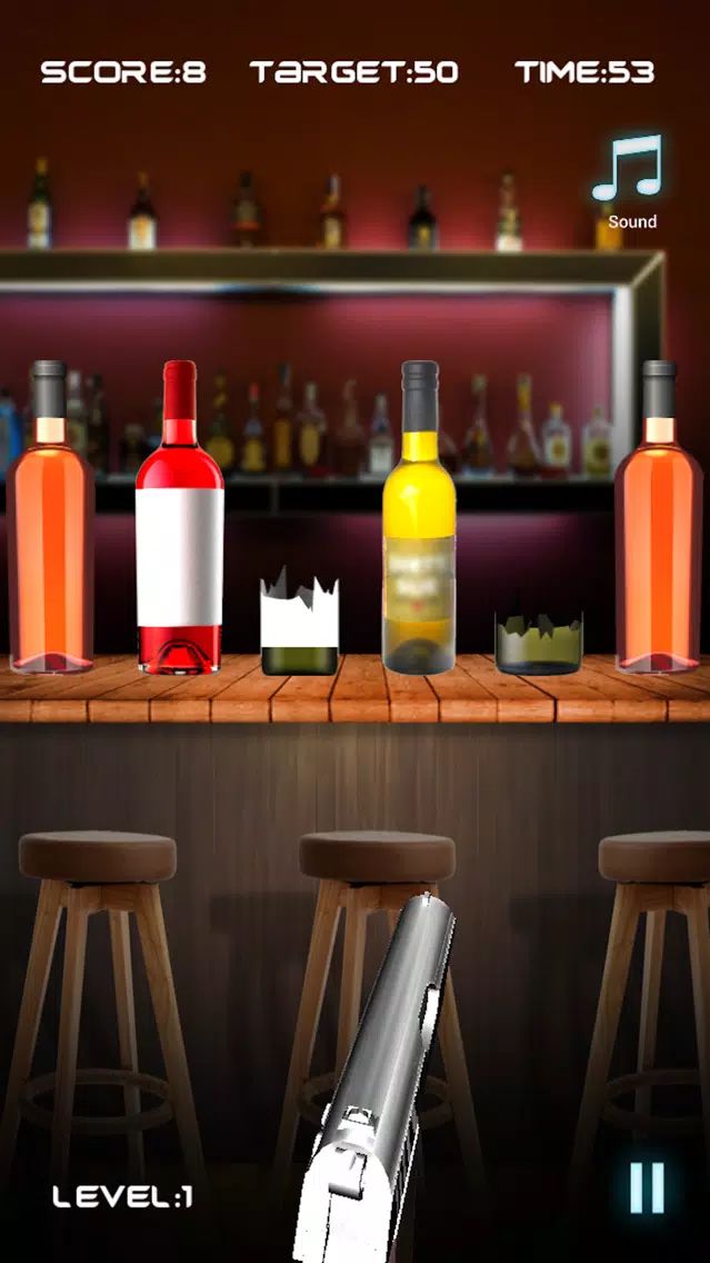 Bottle Shooting Game应用截图