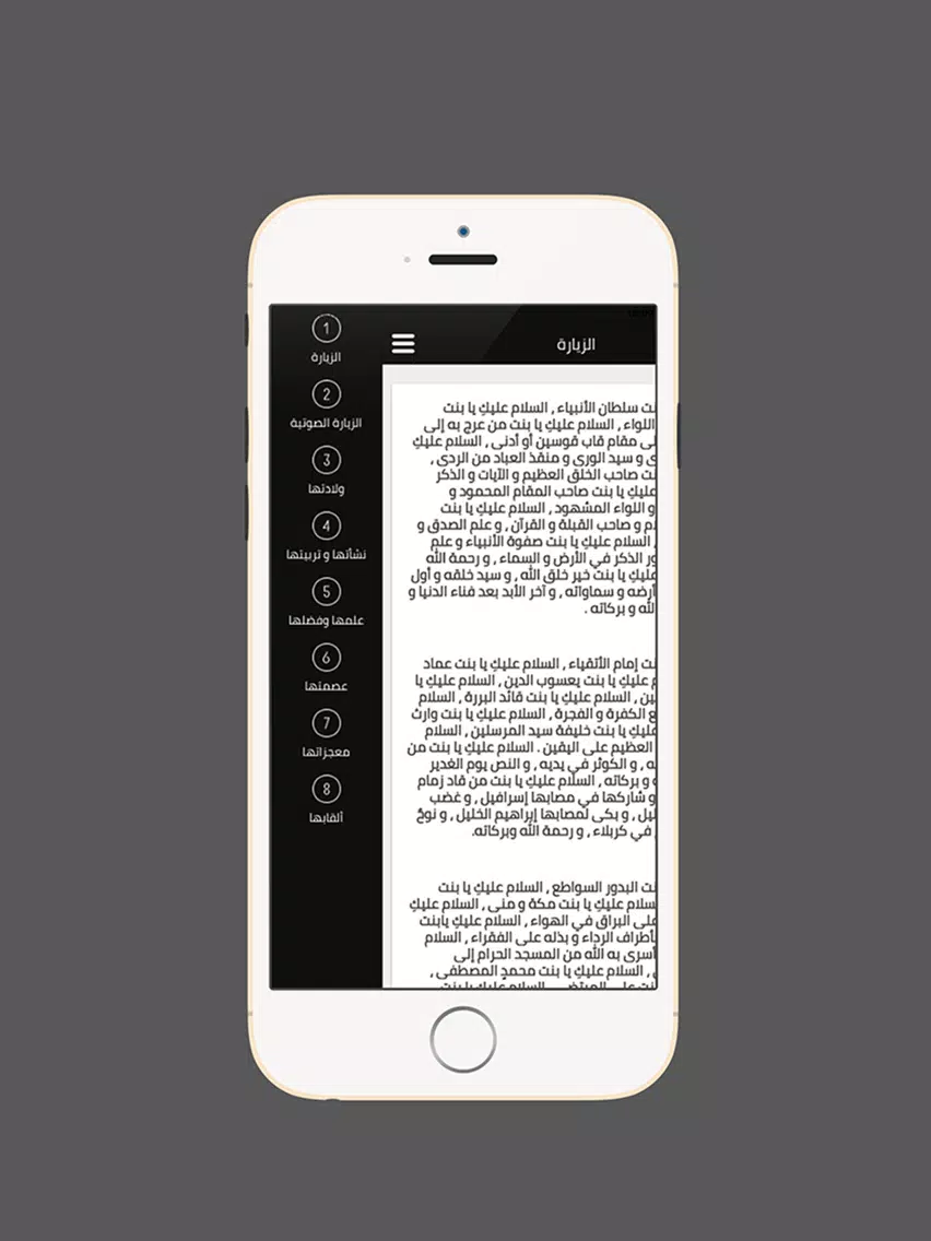 زيارة السيدة زينب iPad 应用截图