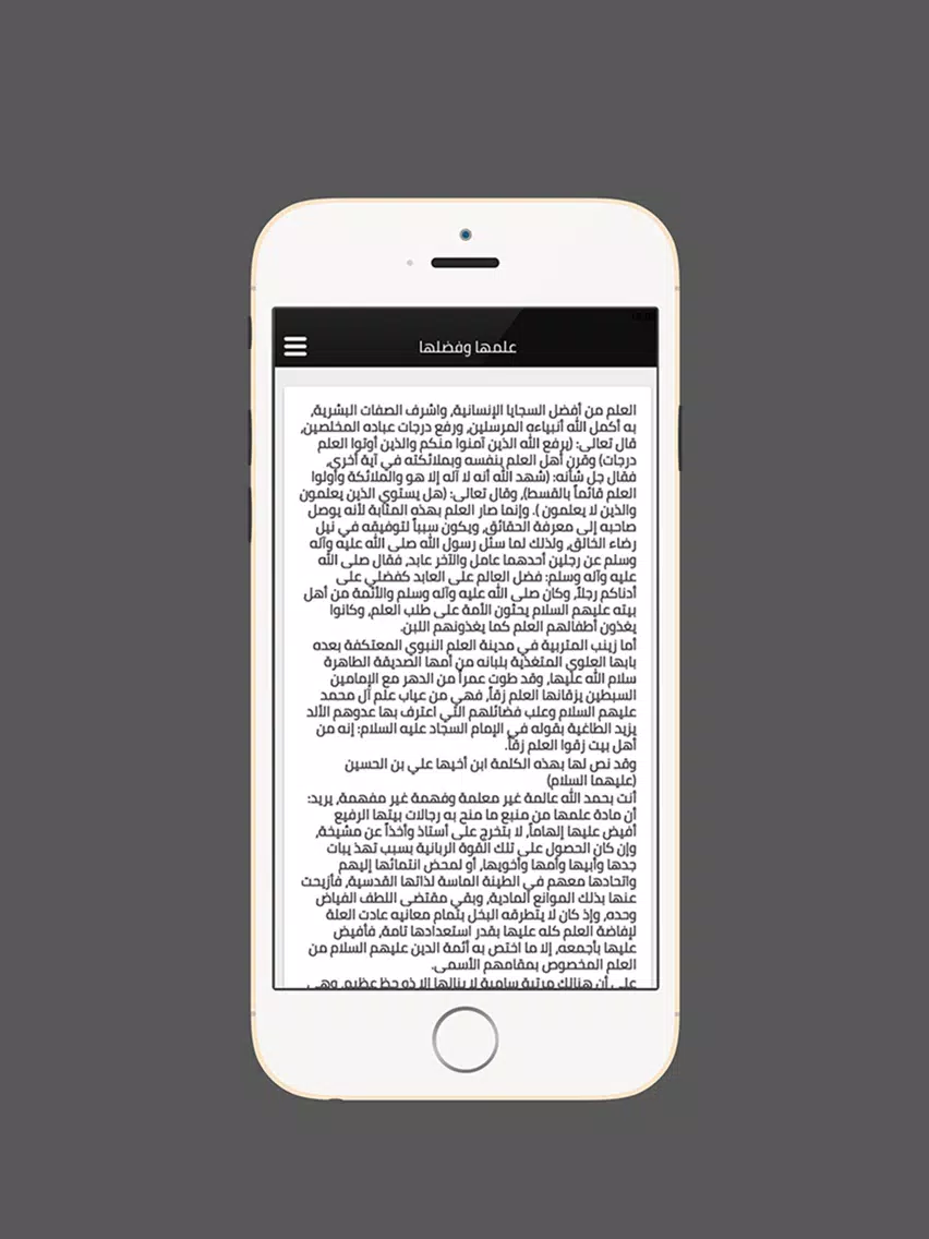 زيارة السيدة زينب iPad 应用截图