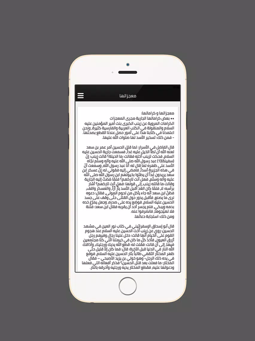 زيارة السيدة زينب iPad 应用截图