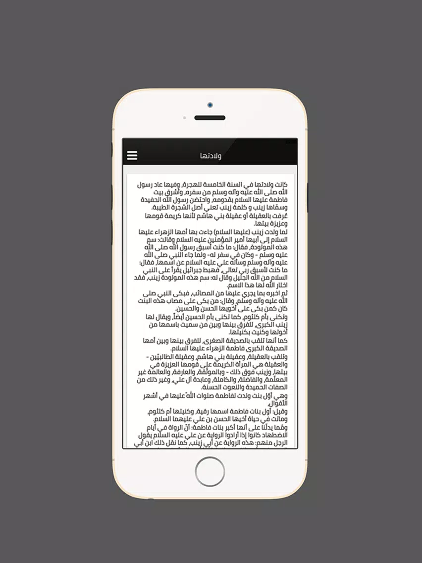 زيارة السيدة زينب iPad 应用截图