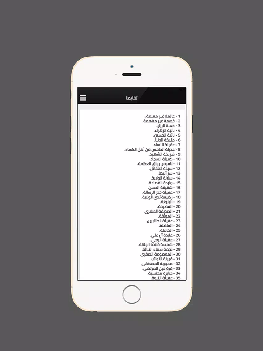 زيارة السيدة زينب iPad 应用截图