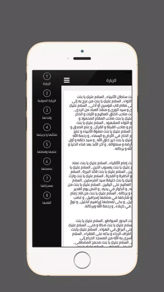 زيارة السيدة زينب स्क्रीनशॉट
