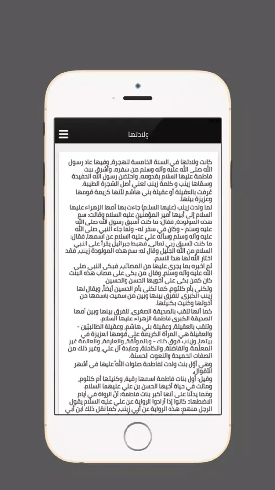 زيارة السيدة زينب स्क्रीनशॉट