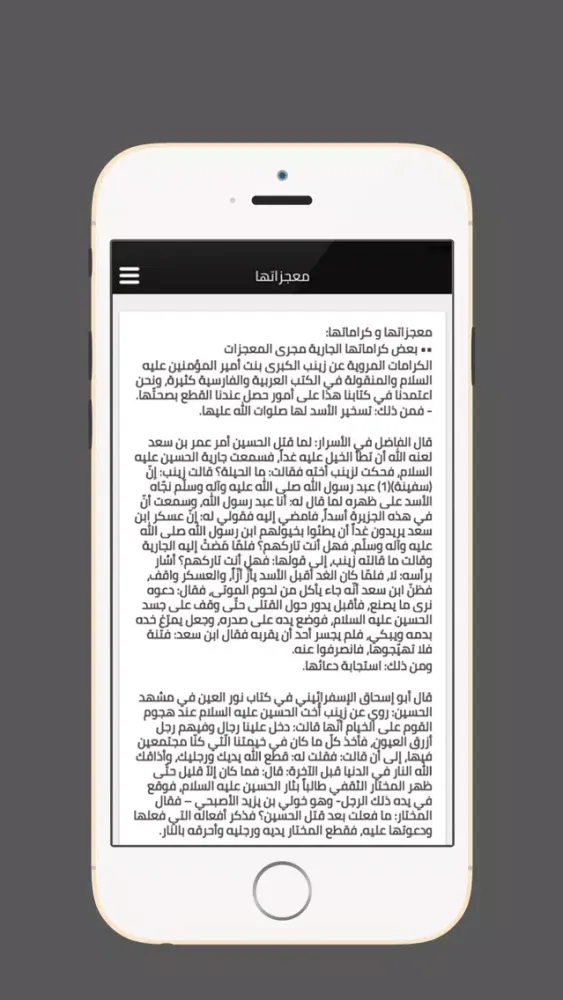 زيارة السيدة زينب स्क्रीनशॉट