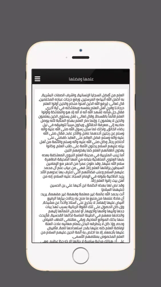 زيارة السيدة زينب स्क्रीनशॉट