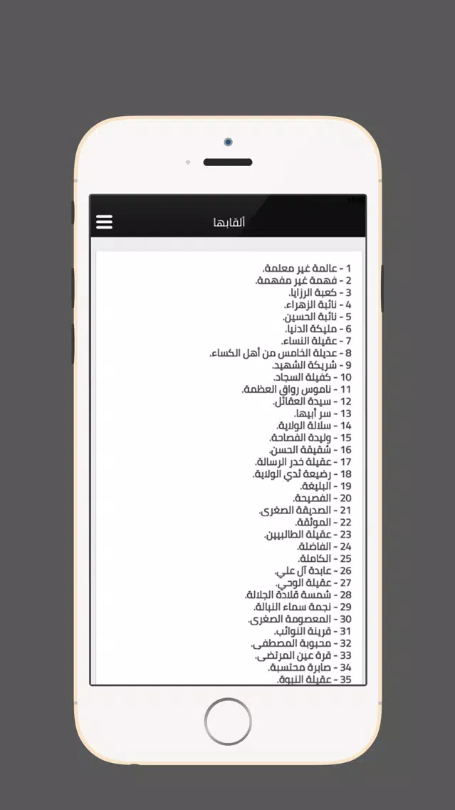 زيارة السيدة زينب应用截图