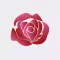 romantic music for office diary lover suite player