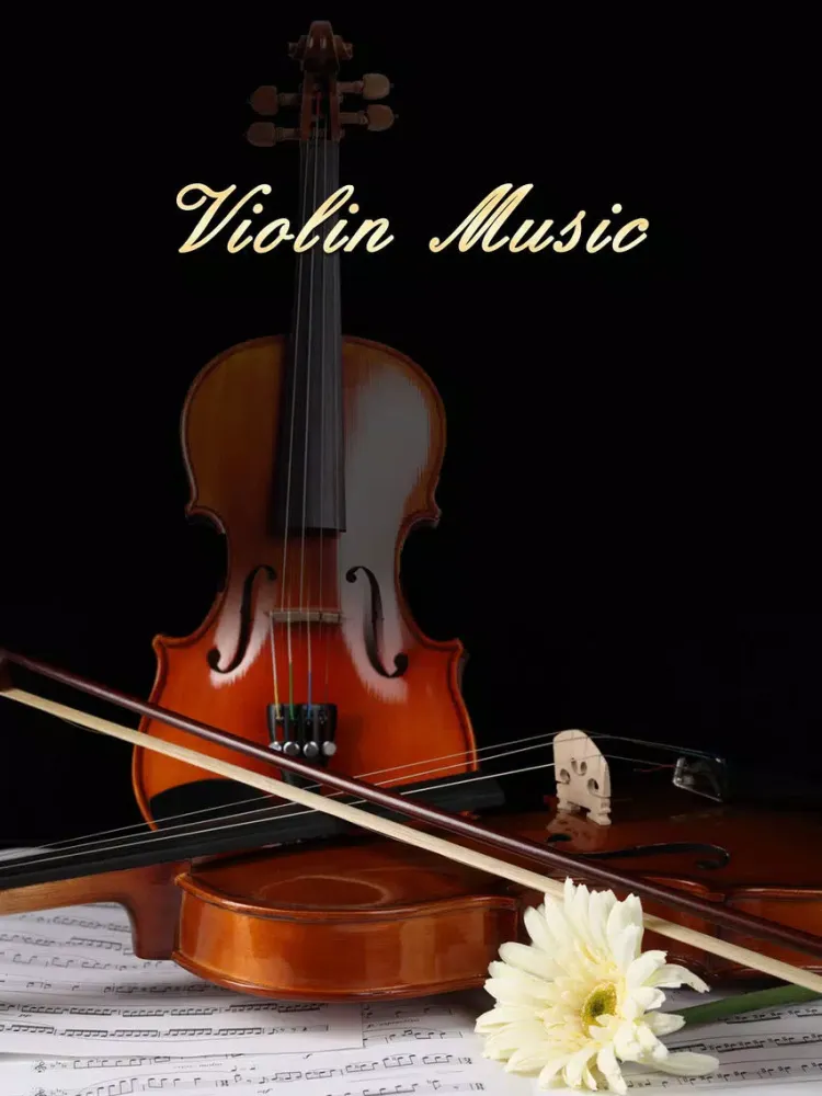 world classical violin music collection free HD iPad  스크린샷