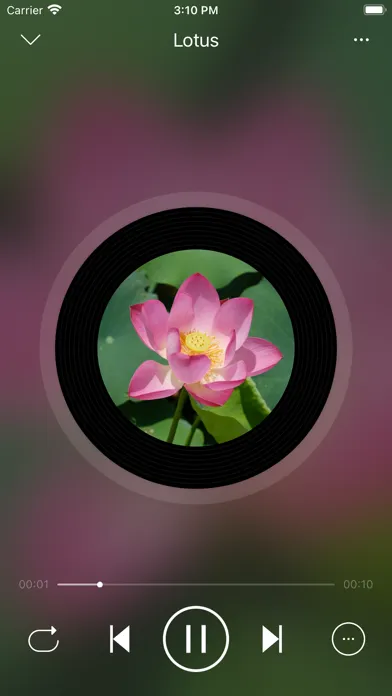 Tangkapan skrin LoveMusic Player - Local Play