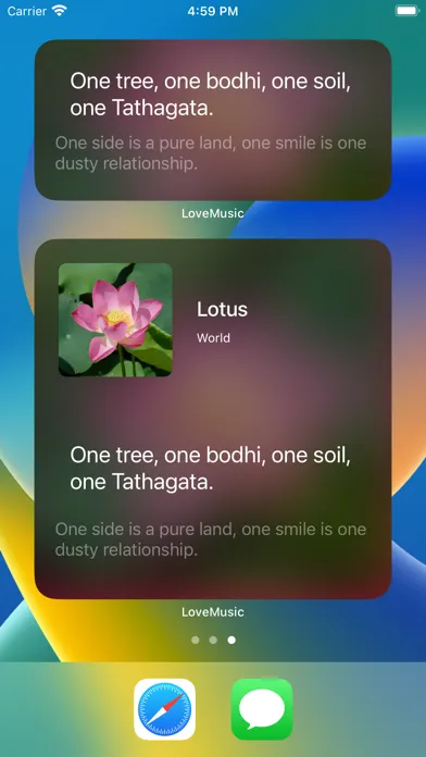 Tangkapan skrin LoveMusic Player - Local Play