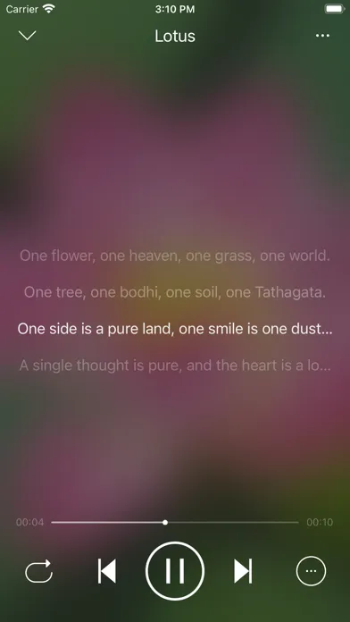 Tangkapan skrin LoveMusic Player - Local Play