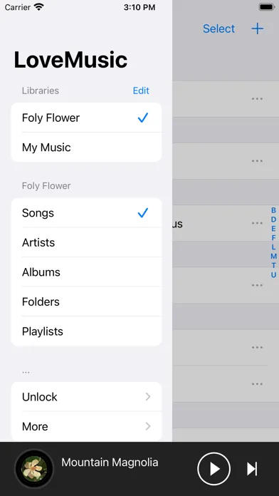 Tangkapan skrin LoveMusic Player - Local Play