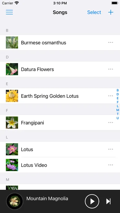Tangkapan skrin LoveMusic Player - Local Play