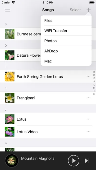 Tangkapan skrin LoveMusic Player - Local Play