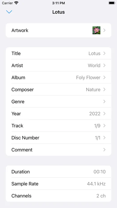 Tangkapan skrin LoveMusic Player - Local Play