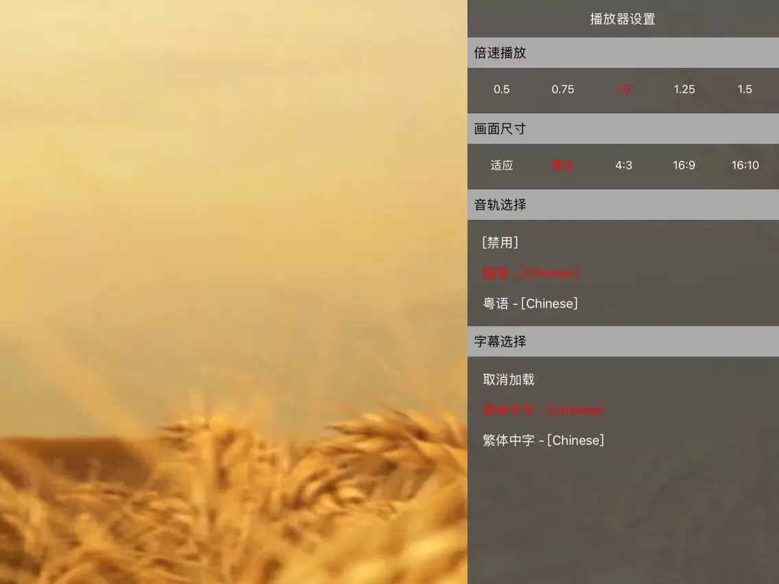 Capturas de pantalla de SMBPlayer-Full Format Player iPad 