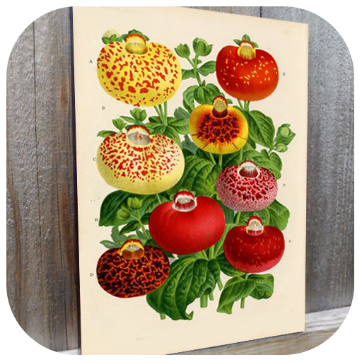 Botanical Art Painting Ideas