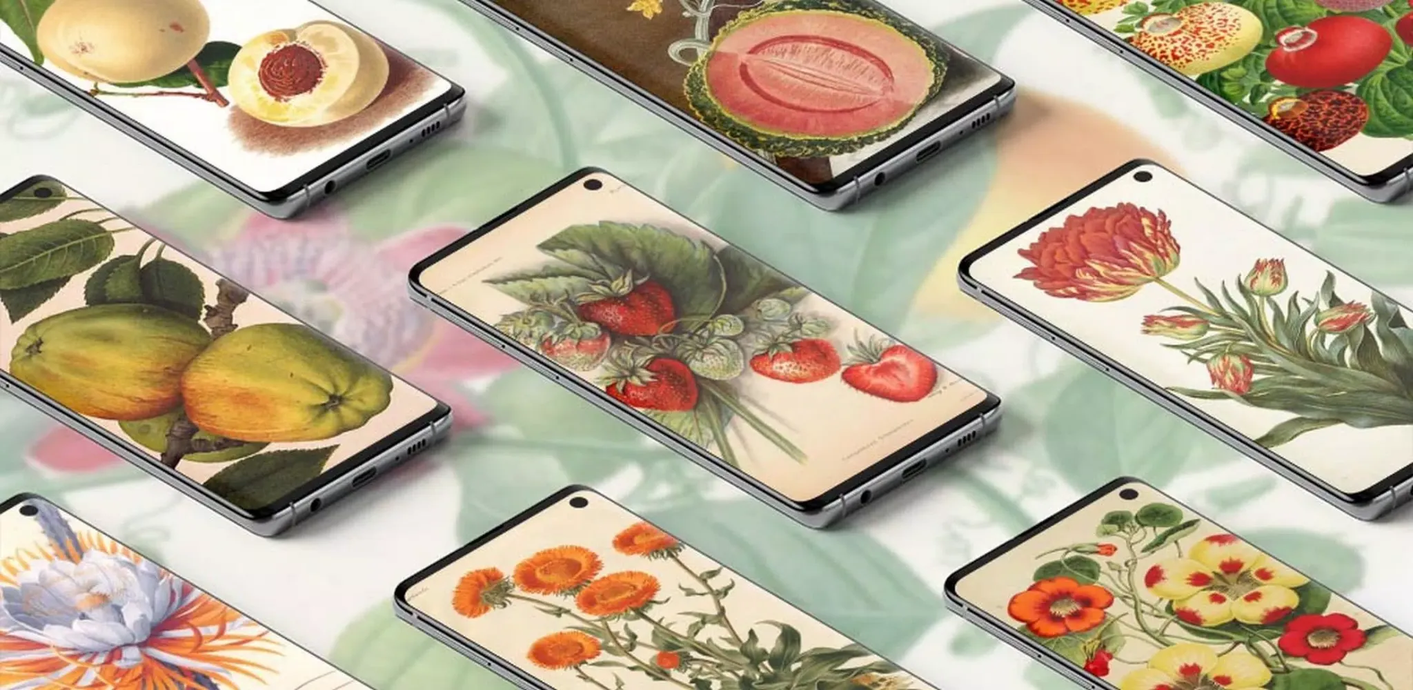 Botanical Art Painting Ideas應用截圖