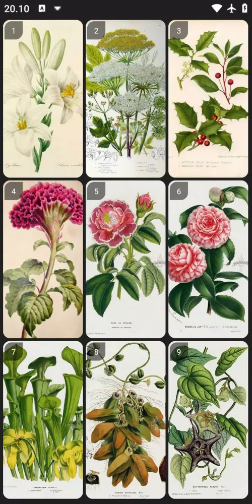 Botanical Art Painting Ideas應用截圖