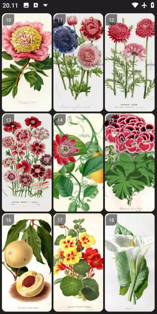 Botanical Art Painting Ideas應用截圖