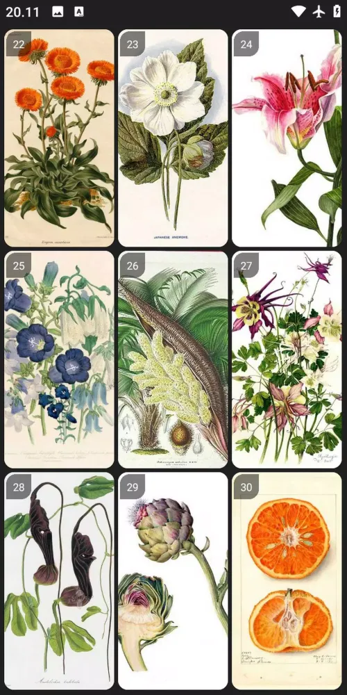 Botanical Art Painting Ideas應用截圖