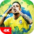 Brazil National Football Team