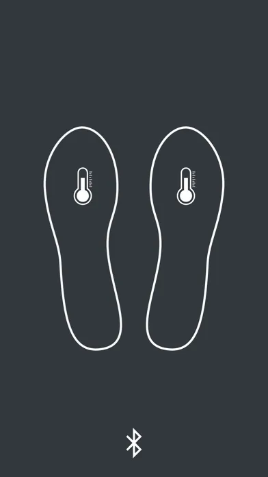 Tangkapan layar MPS insole