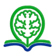 书智AI