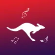 KangaROOS Spacelight
