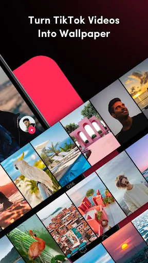 TickTock-TikTok Live Wallpaper スクリーンショット