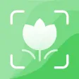 植物识别 - 拍照识花动物识别神器