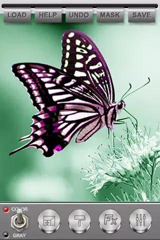 Скриншоты Color-Magic