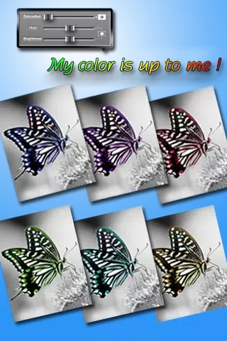 Скриншоты Color-Magic