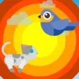 Birds & Cats