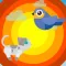 Birds & Cats