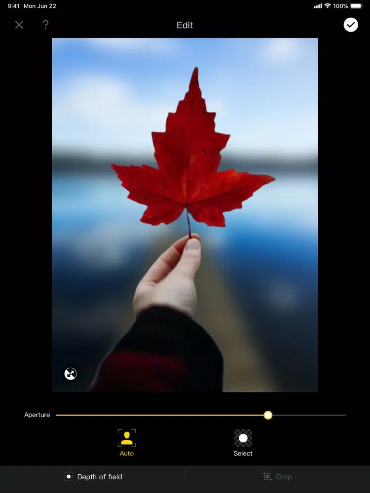 Blur background App . iPad  Screenshots